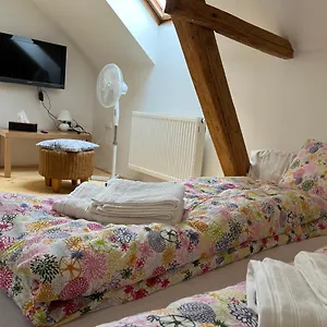 Apartmán Mezonet Svitkov 21, Pardubice